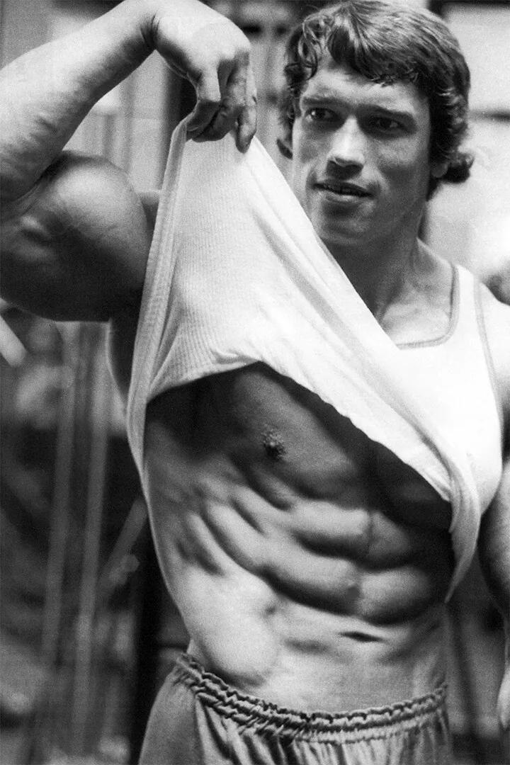 Arnold Schwarzenegger Bodybuil - Home Gym Quotes reseña y precio
