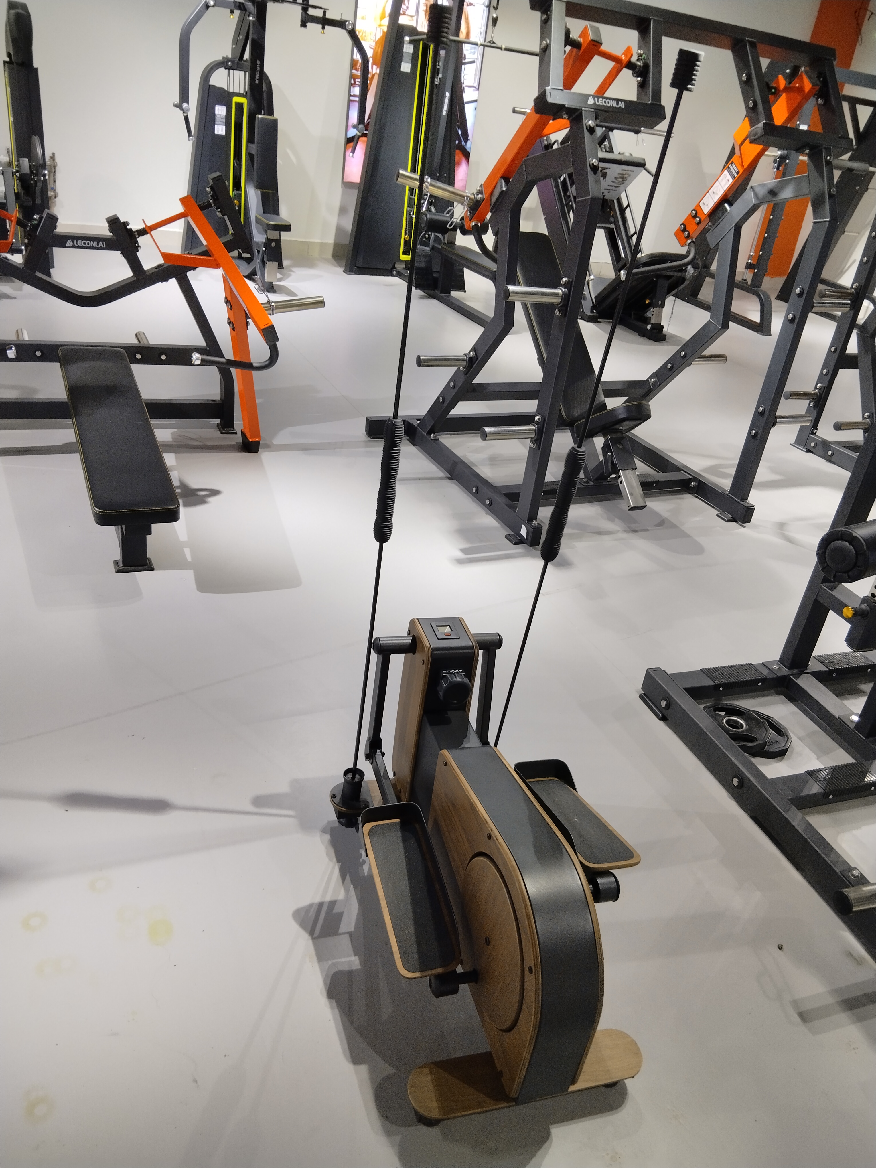 Low-Impact Magnetic Elliptical - Home Gym Resistance reseña y precio
