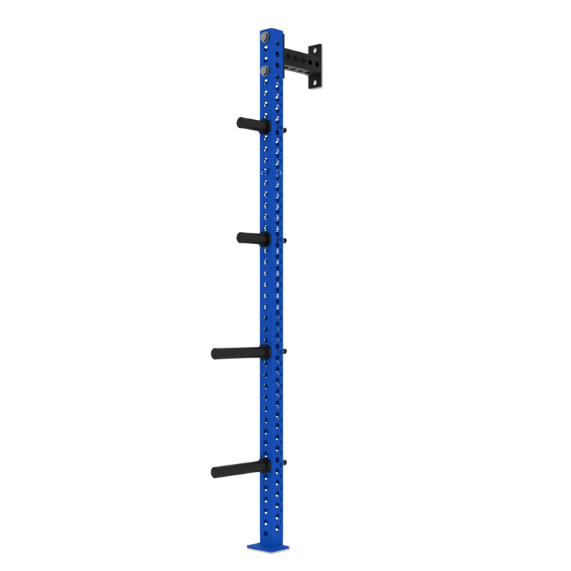 Heavy Duty Wall Mount Gym Stor - Weight Plate Bumper reseña y precio
