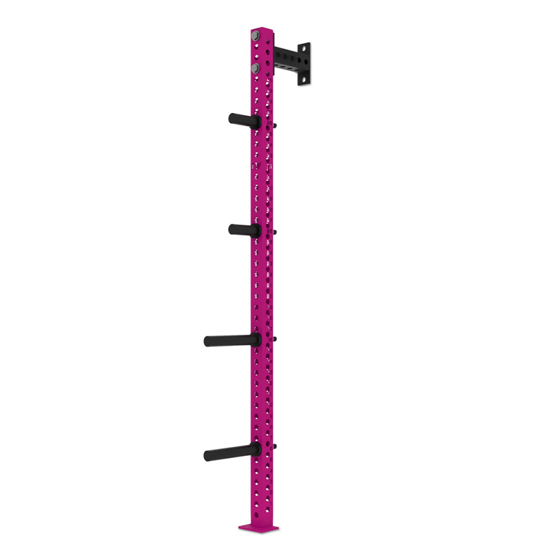 Heavy Duty Wall Mount Gym Stor - Weight Plate Bumper reseña y precio