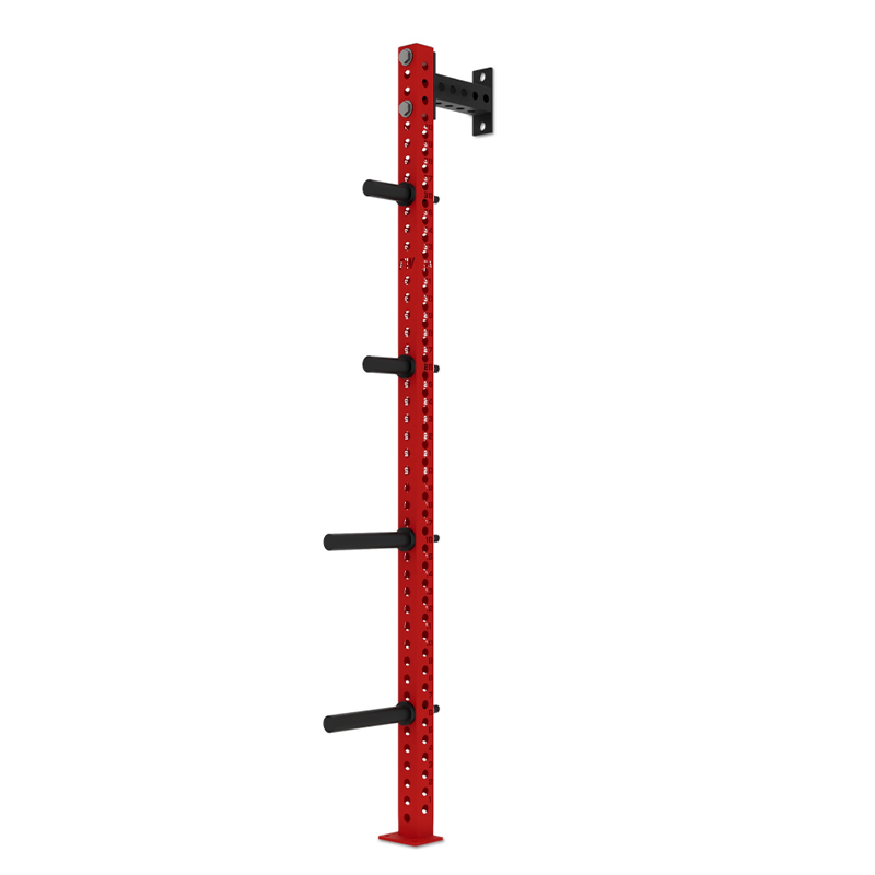 Heavy Duty Wall Mount Gym Stor - Weight Plate Bumper reseña y precio