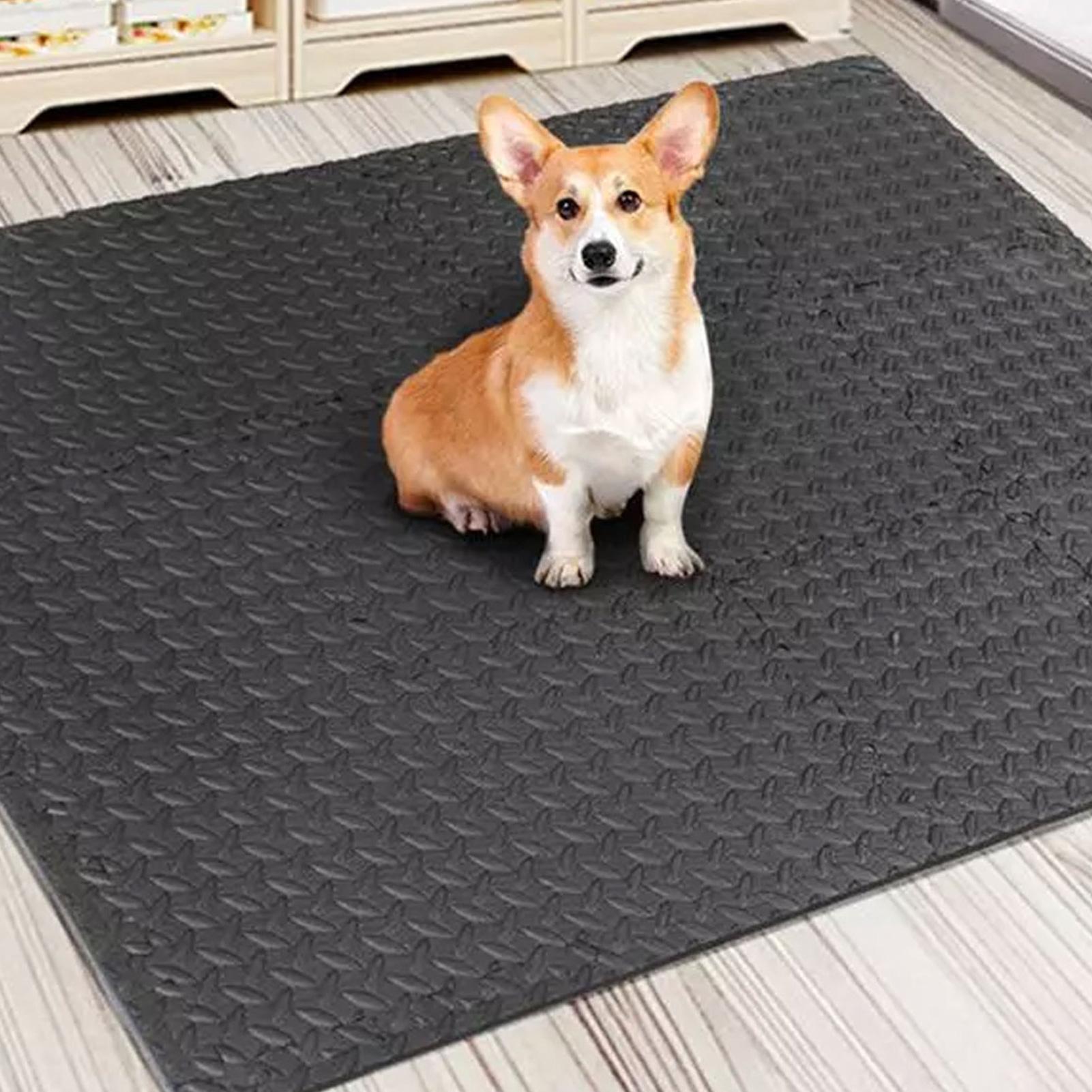 Gym Tiles 12 Pieces Interlocki - Home Gym For Toddlers reseña y precio