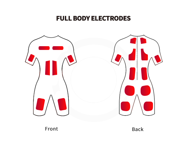 Top Quality Full Body Home Gym - Home Gym Outfit reseña y precio