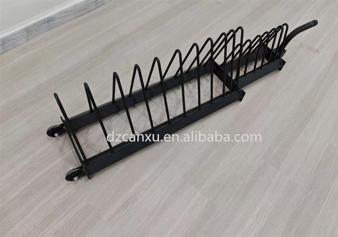 Gym Fitness Accessories Bumper - Weight Plate Bumper reseña y precio