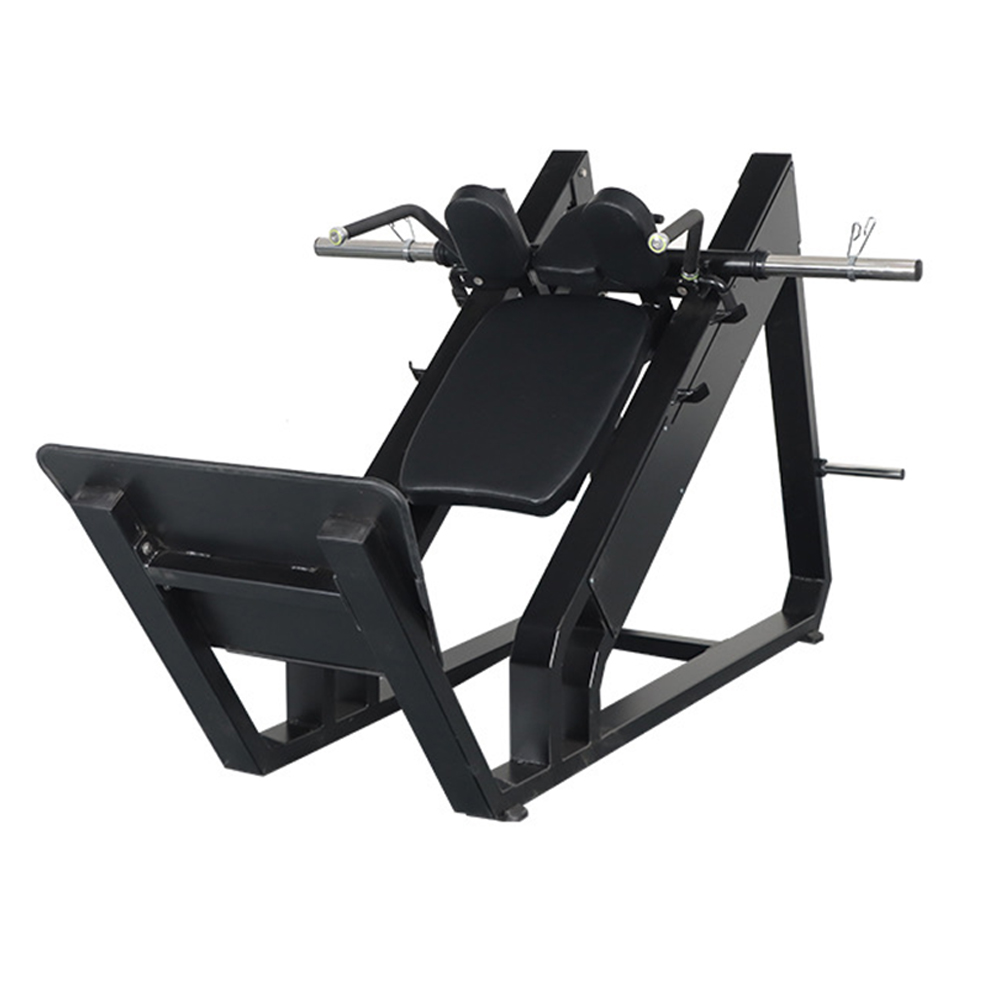 Home Gym Leg Press and Back Ma - Home Gym Hack reseña y precio