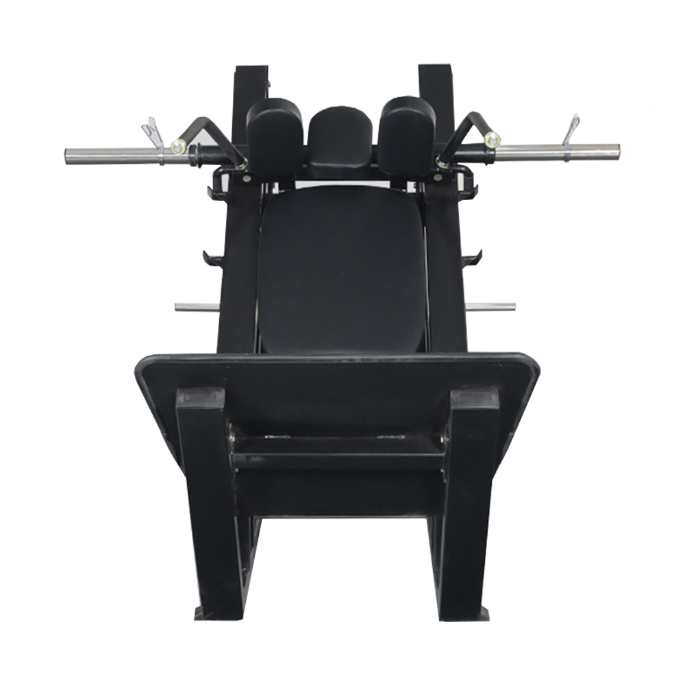 Home Gym Leg Press and Back Ma - Home Gym Hack reseña y precio