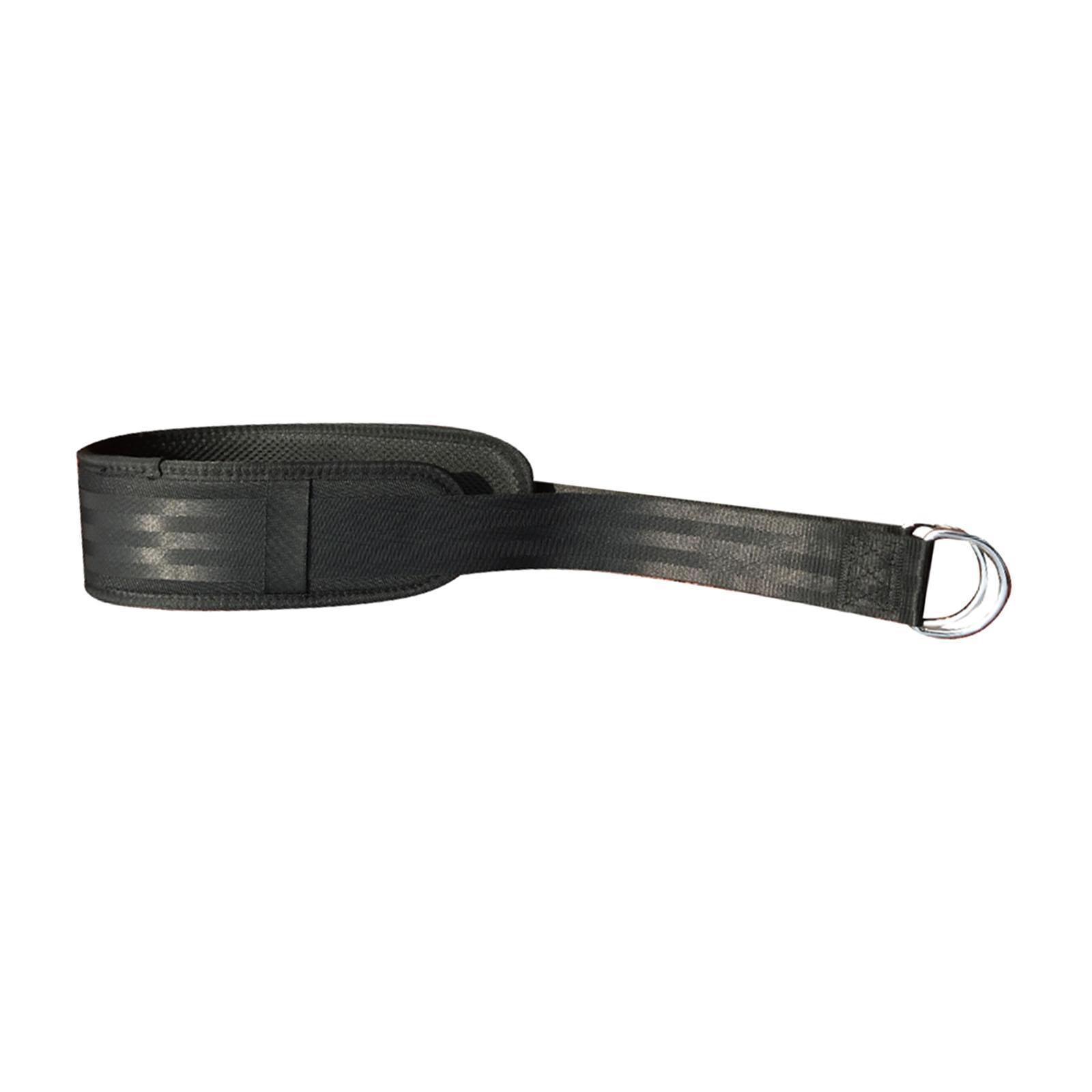 Heavy Duty Fitness Gym Belt Wi - Weight Belt Lifting reseña y precio