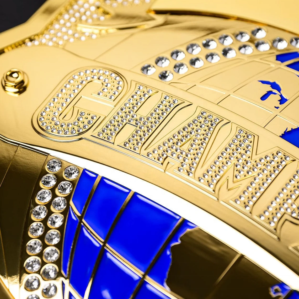 Minimum order of 5 pieces.Best - Weight Belt Lifting reseña y precio