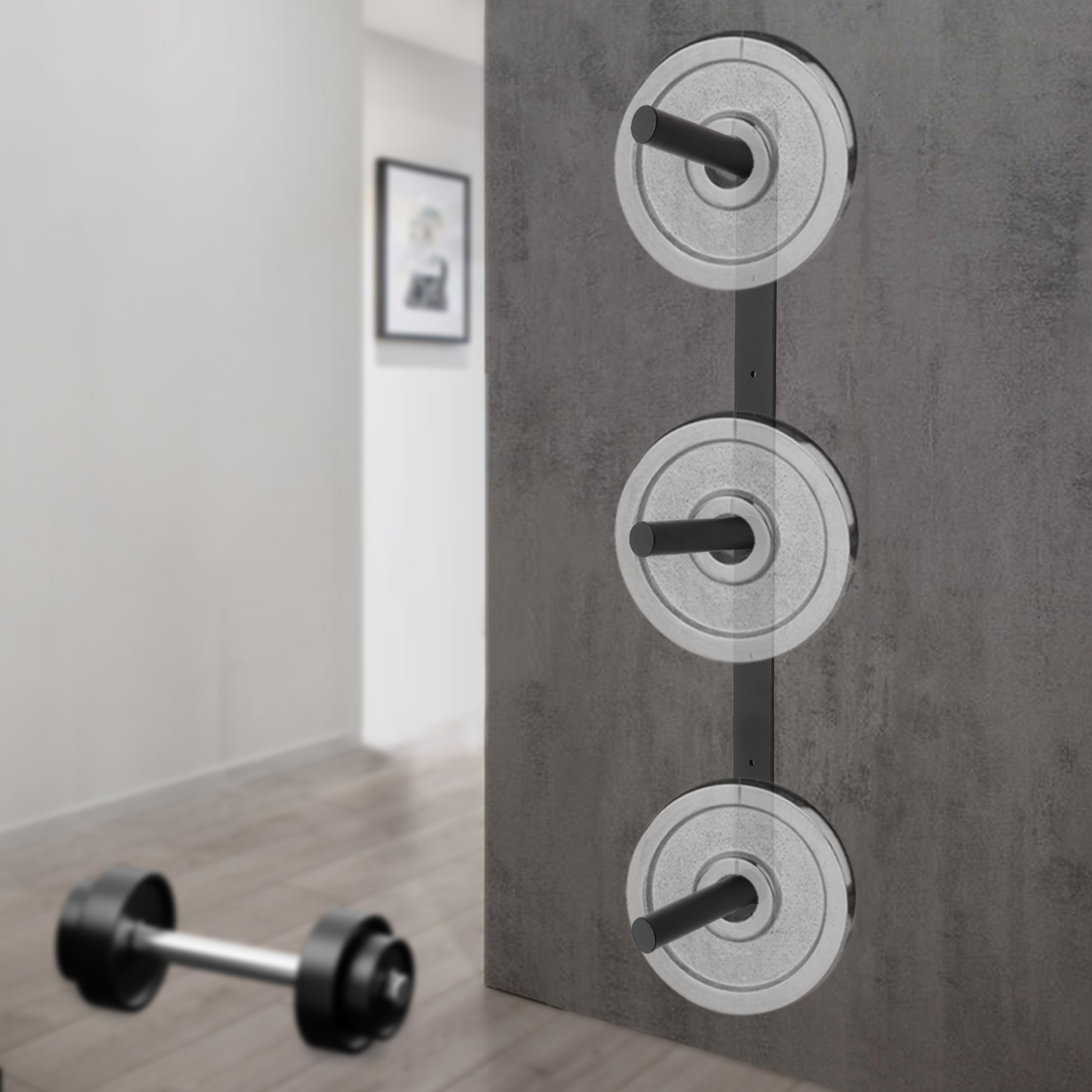 Black Weight Plate Storage Rac - Weight Plate Bumper reseña y precio