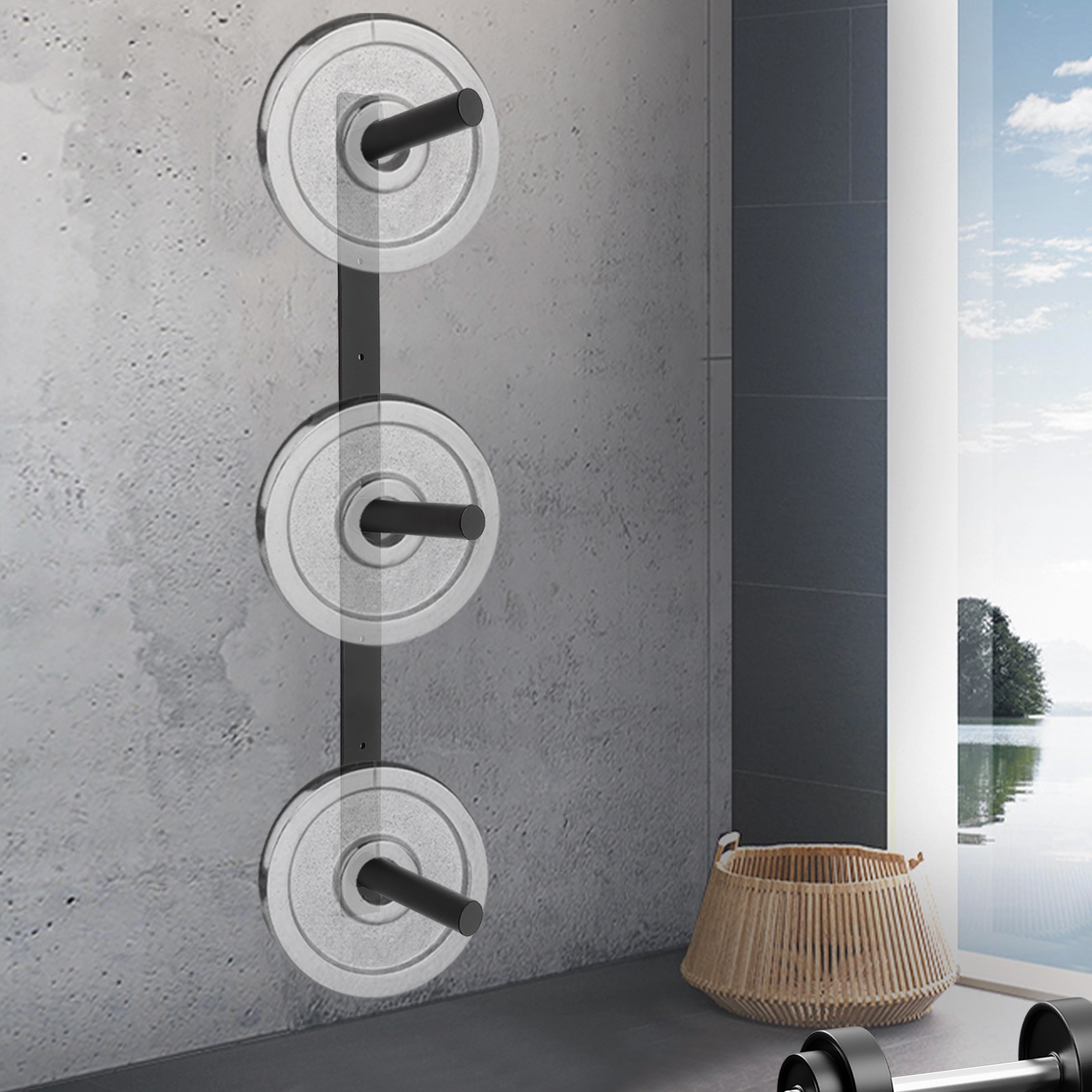 Black Weight Plate Storage Rac - Weight Plate Bumper reseña y precio